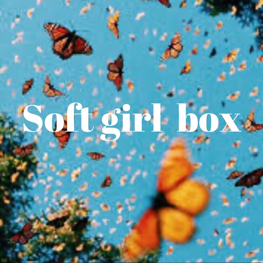 ✨soft girl box✨